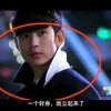 图库下载安装手机版
